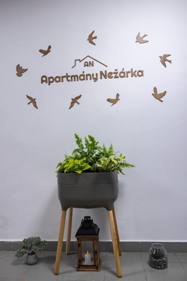 Apartmany Nezarka A Privatni Wellness 인드르지후프흐라데츠 외부 사진