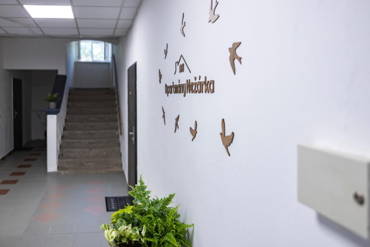 Apartmany Nezarka A Privatni Wellness 인드르지후프흐라데츠 외부 사진