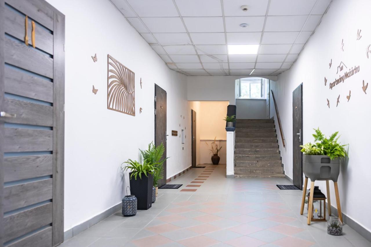 Apartmany Nezarka A Privatni Wellness 인드르지후프흐라데츠 외부 사진