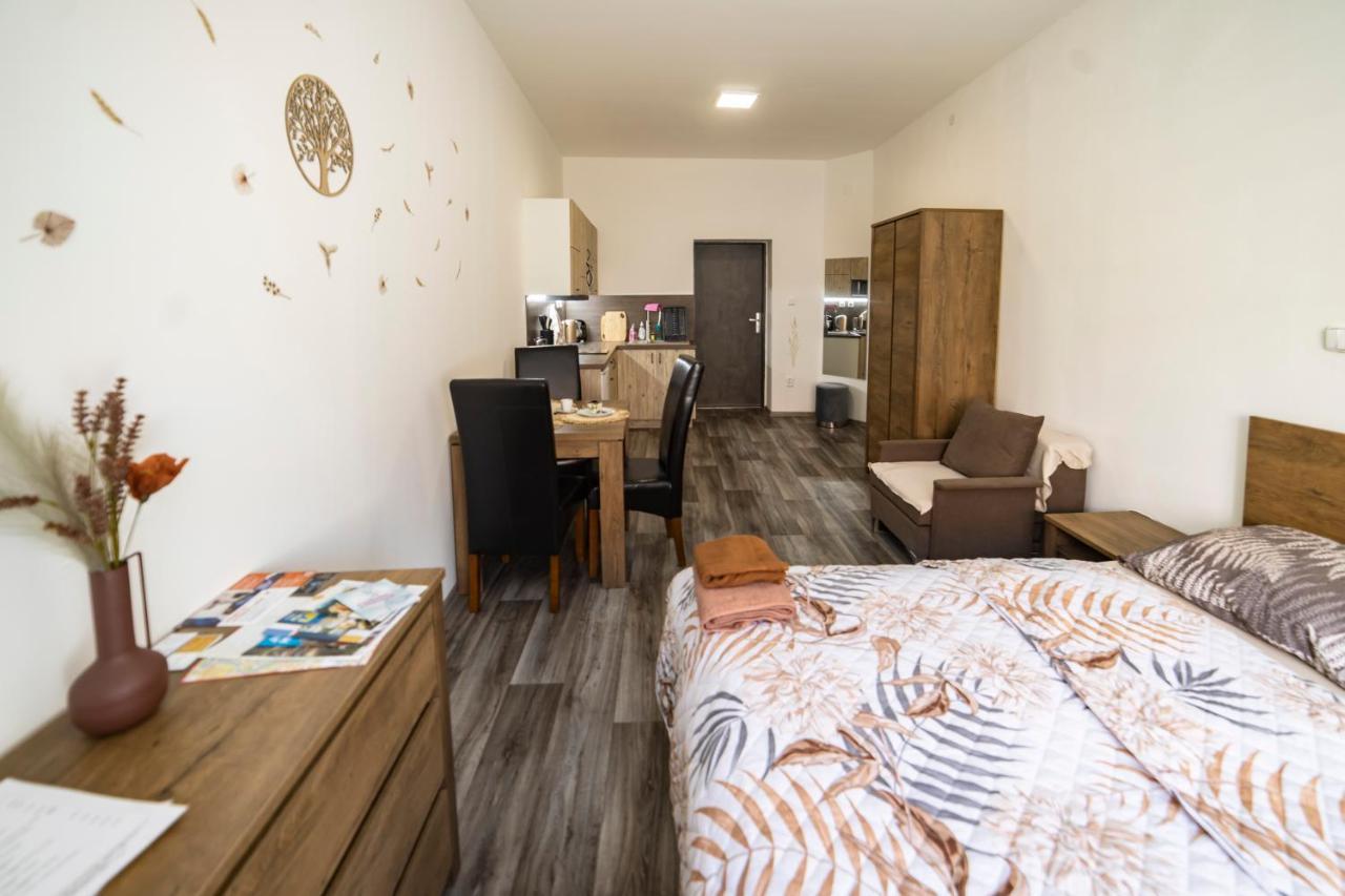 Apartmany Nezarka A Privatni Wellness 인드르지후프흐라데츠 외부 사진