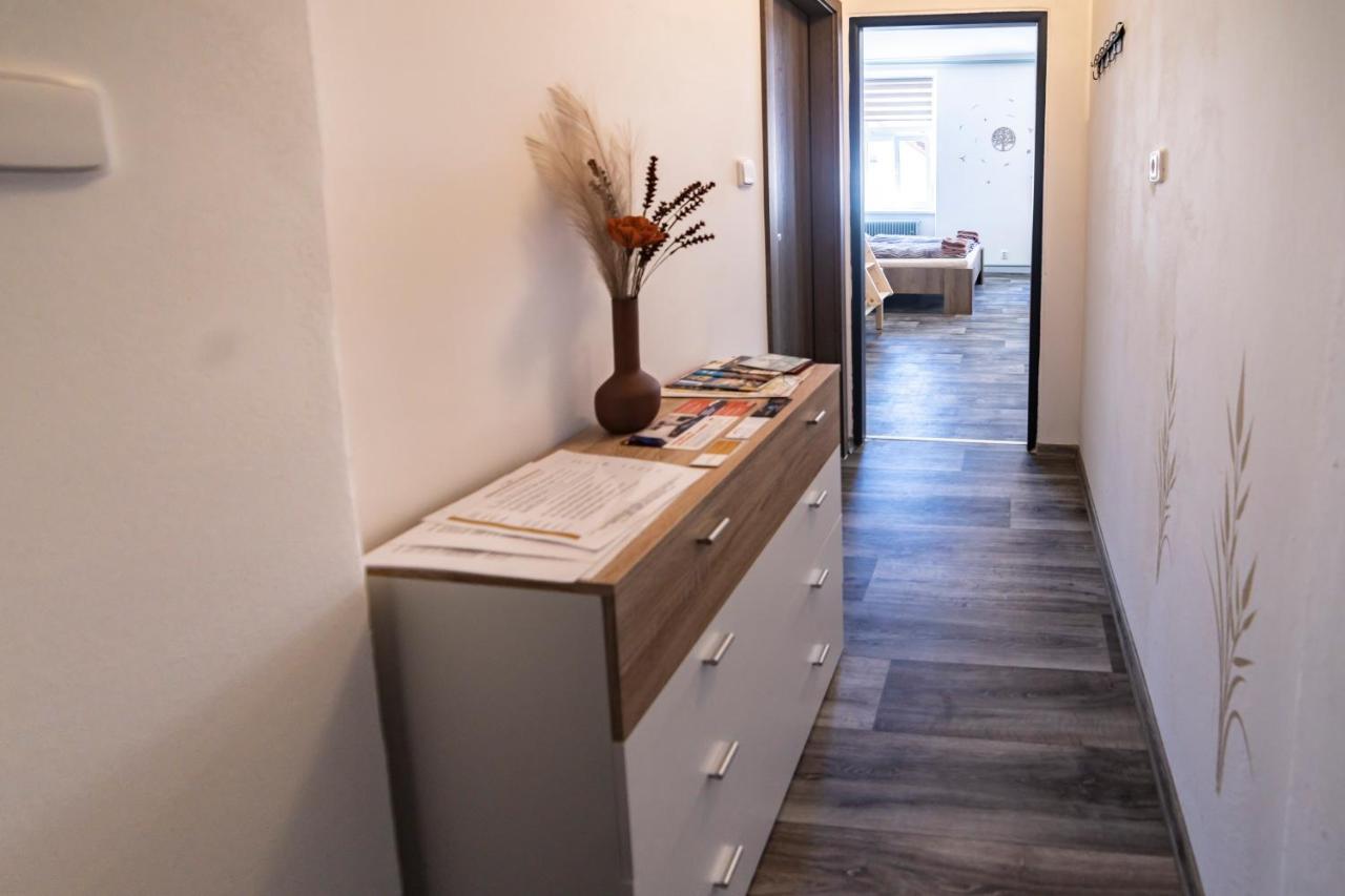 Apartmany Nezarka A Privatni Wellness 인드르지후프흐라데츠 외부 사진