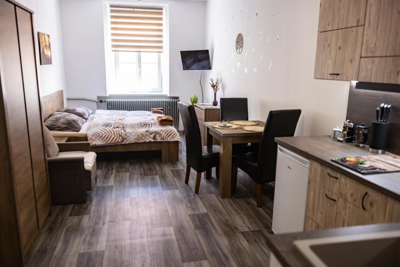 Apartmany Nezarka A Privatni Wellness 인드르지후프흐라데츠 외부 사진